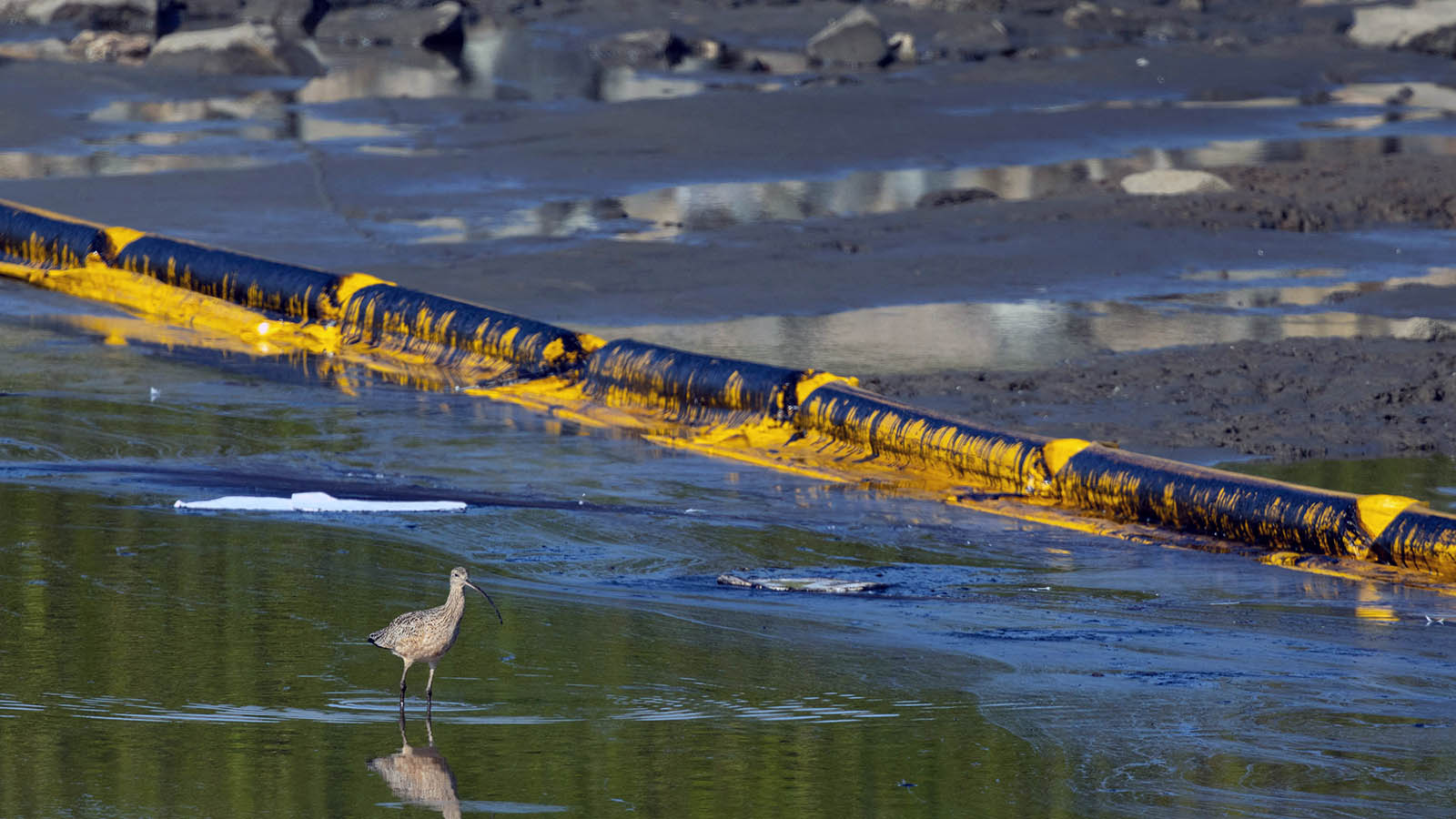 Oil spill response operations