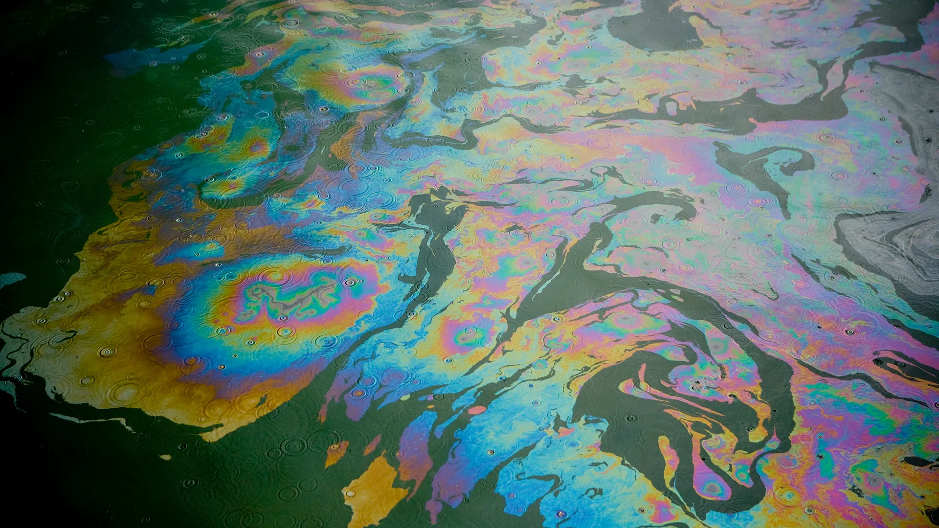 ecoa-oil-spills